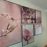 Aster Aparts Wyspa Sobieszewska Apartment Gdansk