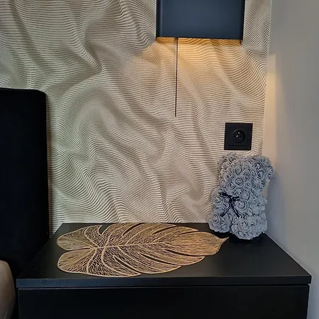 Aster Aparts Wyspa Sobieszewska 格但斯克