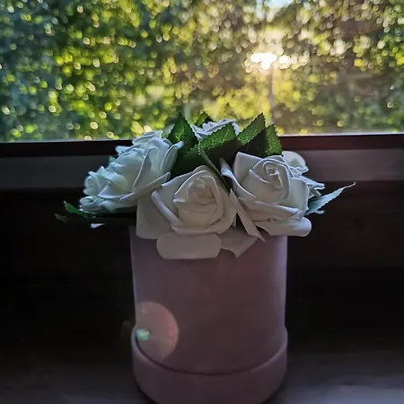 아파트 Aster Aparts Wyspa Sobieszewska 그단스크