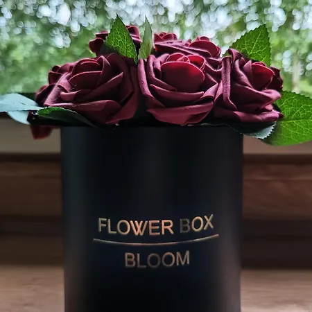 Aster Aparts Wyspa Sobieszewska *