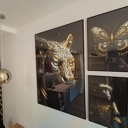 Aster Aparts Wyspa Sobieszewska * 그단스크