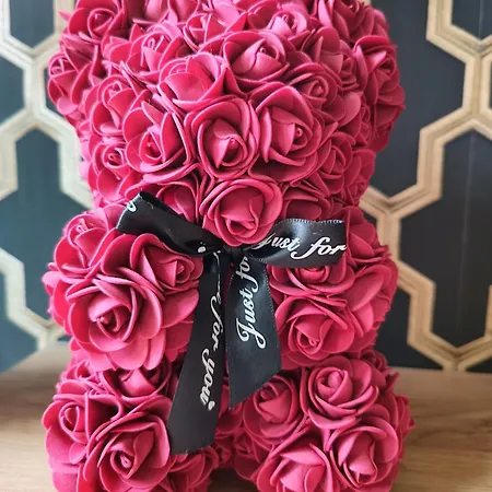 Aster Aparts Wyspa Sobieszewska 公寓 格但斯克