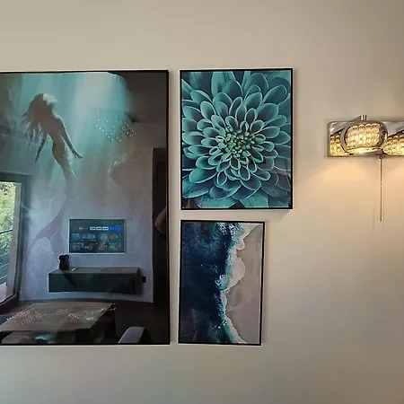 Aster Aparts Wyspa Sobieszewska 格但斯克