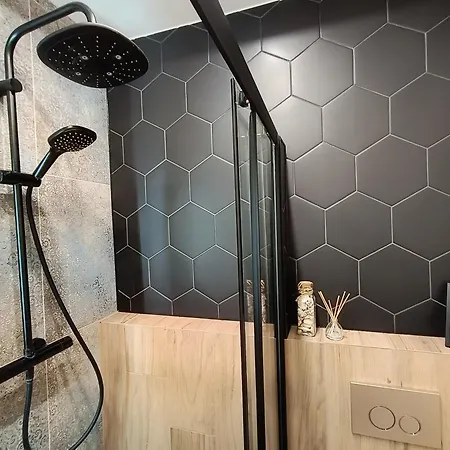 Apartment Aster Aparts Wyspa Sobieszewska *