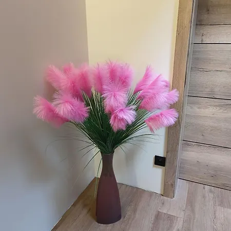 Apartament Aster Aparts Wyspa Sobieszewska