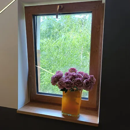 Aster Aparts Wyspa Sobieszewska Apartament *