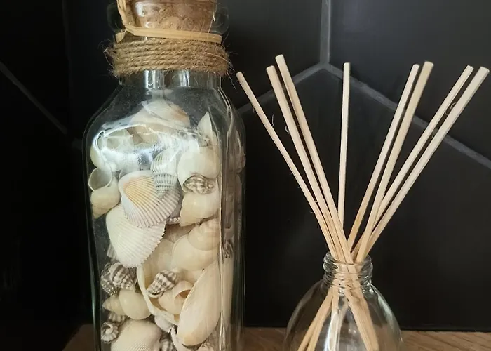 Aster Aparts Wyspa Sobieszewska 公寓 格但斯克