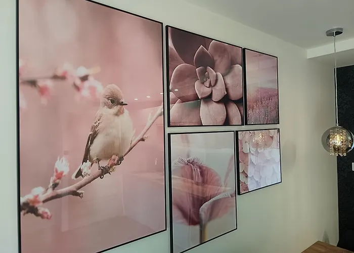 Aster Aparts Wyspa Sobieszewska 公寓 格但斯克