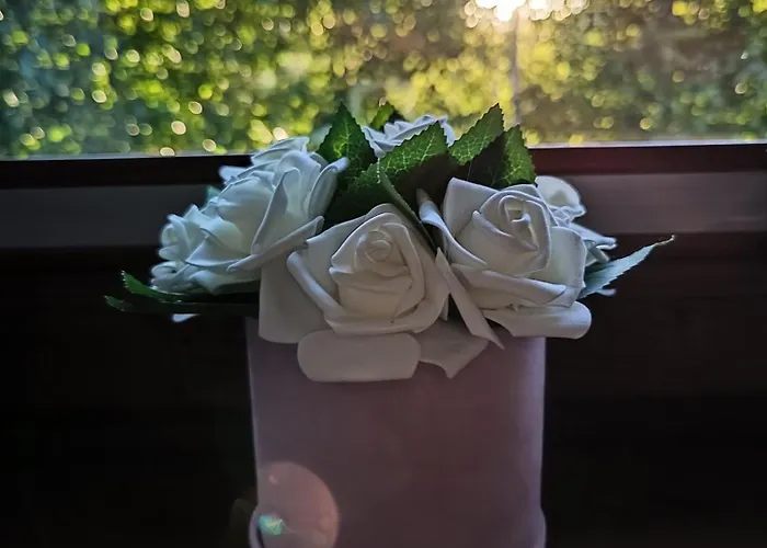 Lägenhet Aster Aparts Wyspa Sobieszewska Gdańsk