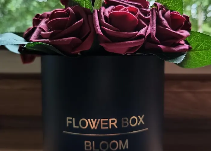 Aster Aparts Wyspa Sobieszewska *