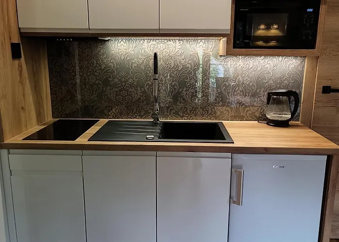 Aster Aparts Wyspa Sobieszewska * Danzig