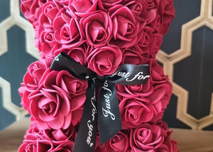 Aster Aparts Wyspa Sobieszewska 公寓 格但斯克