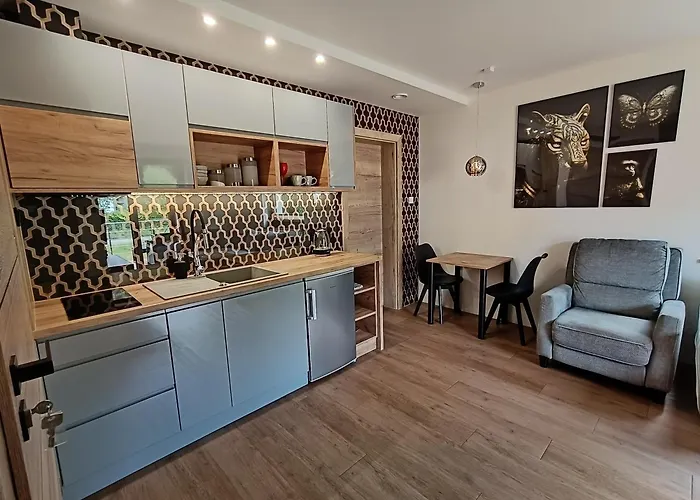 Apartment Aster Aparts Wyspa Sobieszewska Danzig