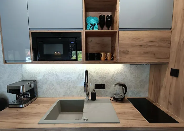 Apartment Aster Aparts Wyspa Sobieszewska