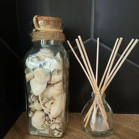 Aster Aparts Wyspa Sobieszewska Appartement Gdańsk