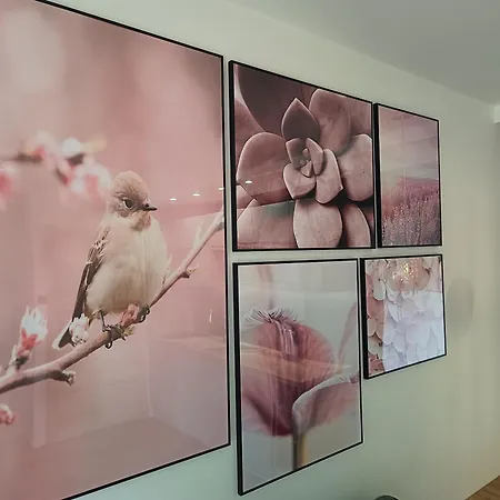 Aster Aparts Wyspa Sobieszewska Appartement Gdańsk