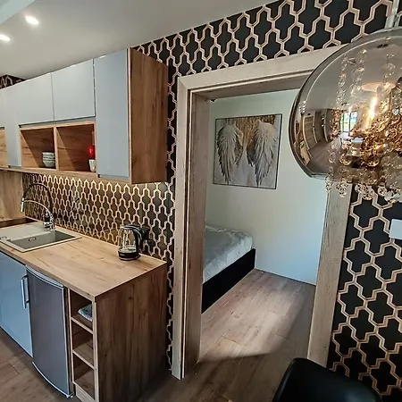 Aster Aparts Wyspa Sobieszewska Appartement Gdańsk